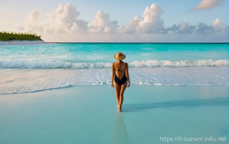 바하마에서 배낭여행 루트 - **Prompt:** A serene and expansive panoramic view of Cape Santa Maria Beach on Long Island, Bahamas,...