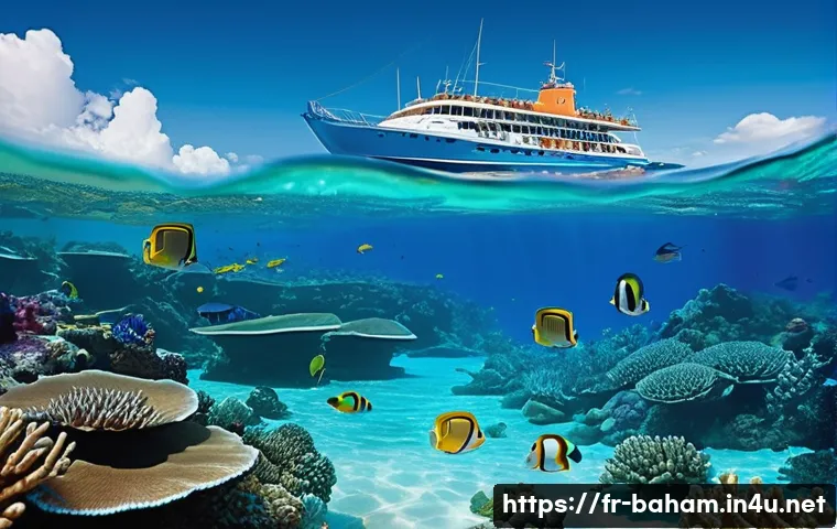 바하마에서 주의할 점 관련 이미지 1