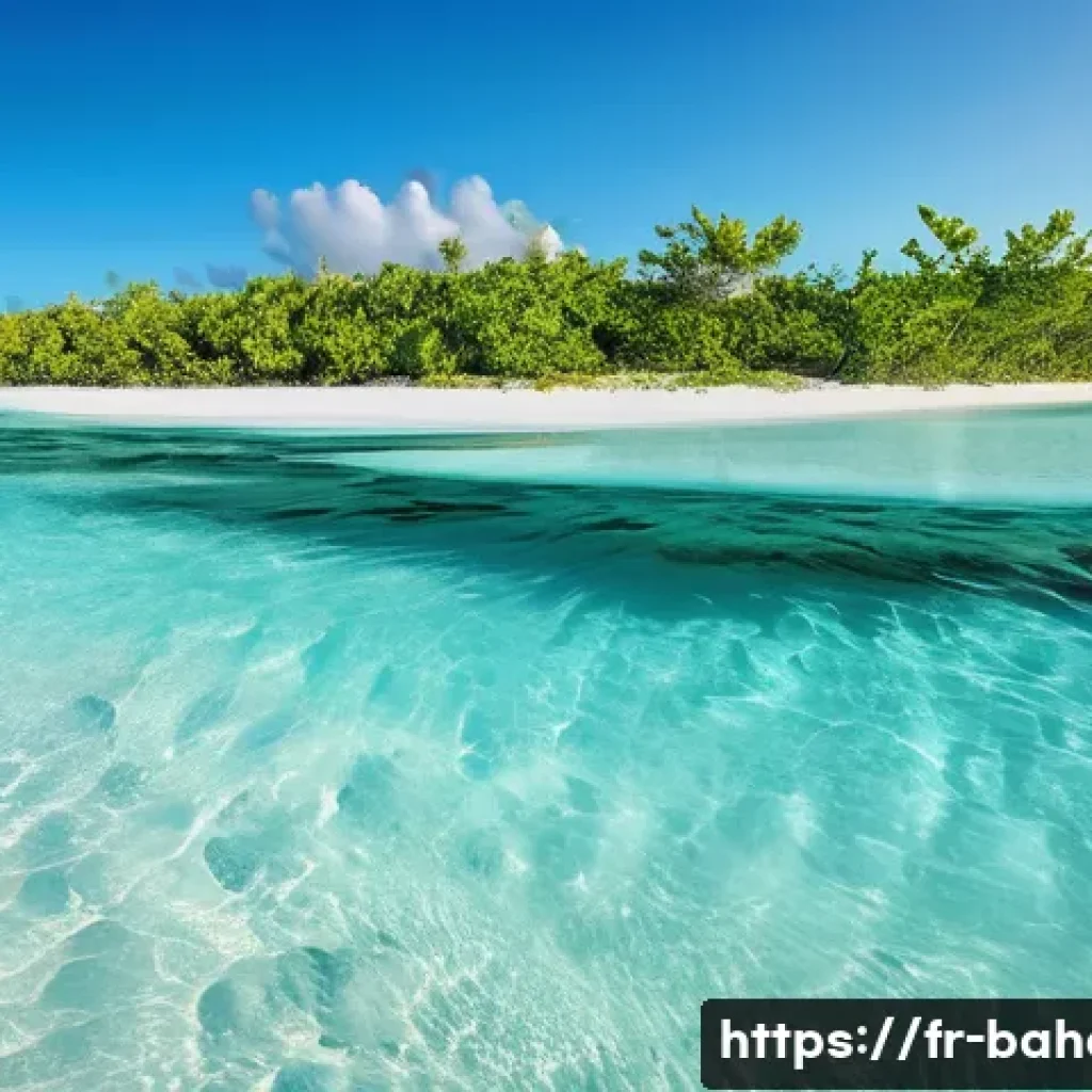 바하마 아바코 제도 탐방 - **Prompt:** A breathtaking panoramic view of the Abacos, Bahamas, showcasing the incredibly clear tu...