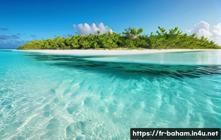 바하마 아바코 제도 탐방 - **Prompt:** A breathtaking panoramic view of the Abacos, Bahamas, showcasing the incredibly clear tu...